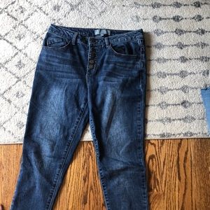 Wit and wisdom size 4 button fly